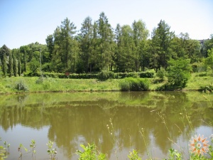 Озеро ботанічного саду